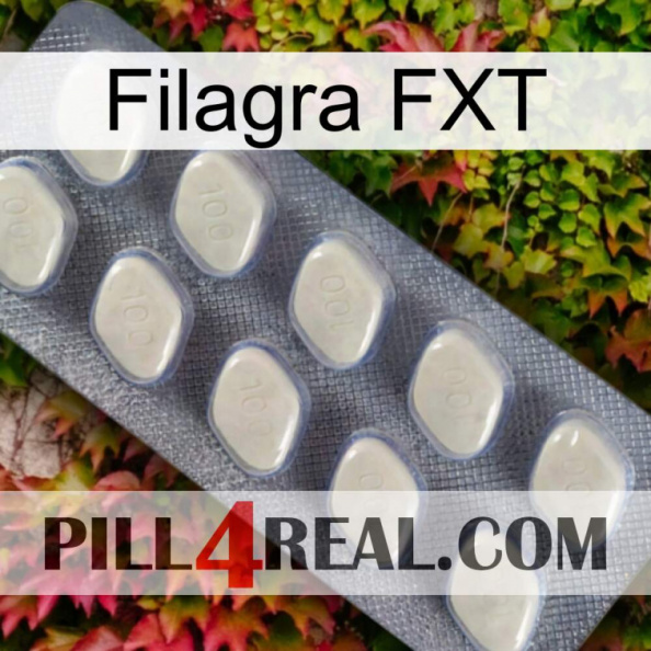 Filagra FXT 08